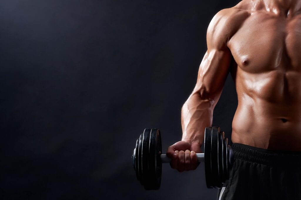 Muscle-Building-1024x681 كوإنزيم Q10 الأرجينين الفا لويبك لطاقة جنسية طبيعية